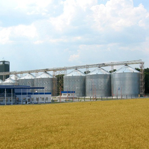 elevatory300.jpg